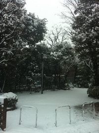 雪だー！ 2012/02/29 11:55:32