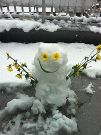 かわいいー！おいしー！ 2012/02/29 12:57:43