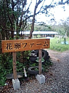 畑でクリスマス!