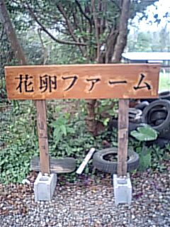 畑でクリスマス!