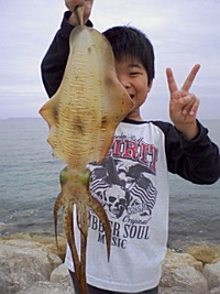 2011年05月15日