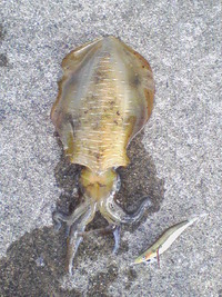 2010年10月15日
