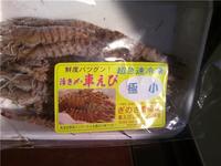 宜野座の名産、車えび!