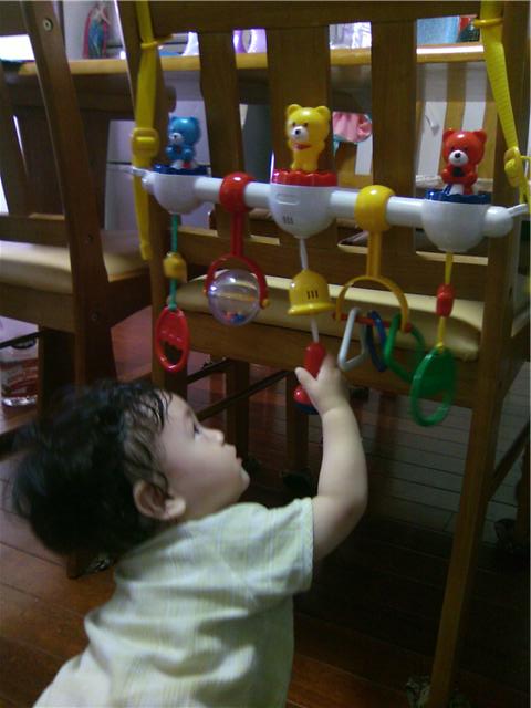 へいちゃん9ケ月の成長