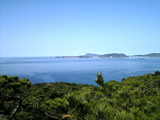 天気
