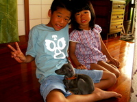 少年と子犬の出会い-恩納村の民宿にて