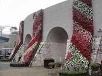こどもの国　Flower　fesival