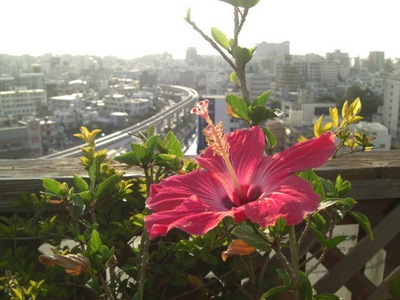 連休明け♪