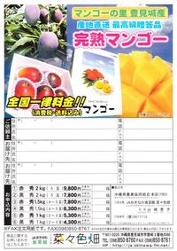 マンゴーお中元フェスタ!!!