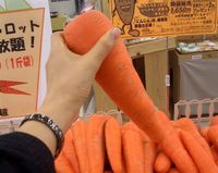 にんじんの日・・・にんじん、にんじん、にんじん