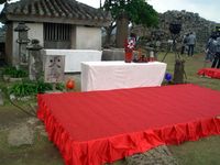 沖縄三大桜祭り・・・今年は1月末頃が見頃!!