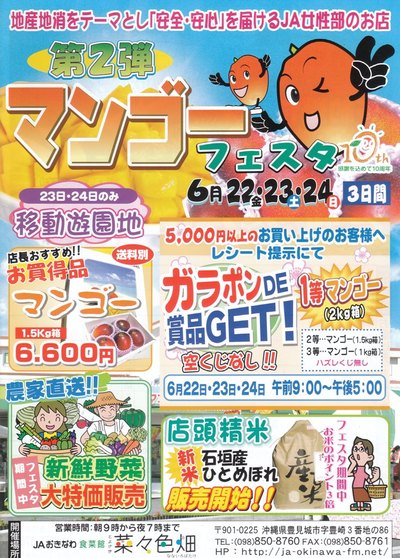 第2弾 マンゴー フェスタ