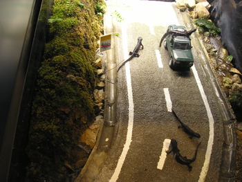 怪獣 コモドオオトカゲより大きいじゃないですか!