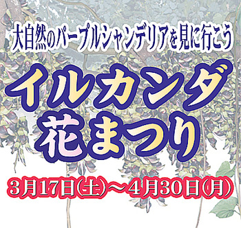 本日31(土)北谷海デポでフリマ 4/1(日)は今帰仁城です