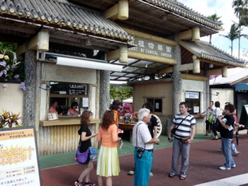 椰子の木のお庭市