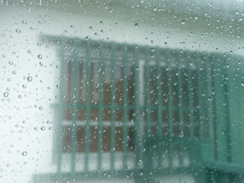 雨の日の新しい楽しみ!