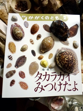 ティーチ・ワン マメ・漂流物図書館 新刊のお知らせ