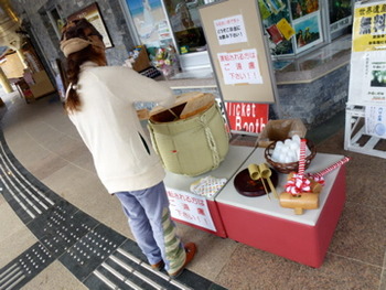 彩砂さんといーく桜咲く!新春の今帰仁城は春のはじまりでした