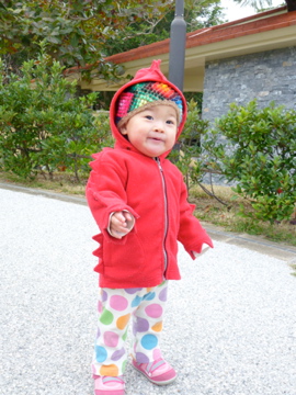 彩砂さんといーく桜咲く!新春の今帰仁城は春のはじまりでした