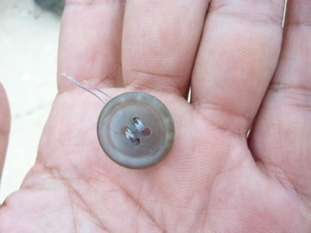 マメボタンのお嫁入りしたら、まめとボタンが帰ってきたの巻