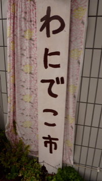 石川市民の森にドングリ拾いにいきました!