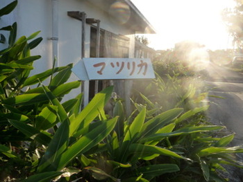 西表 マツリカさんへの道、いいもの沢山ありますよ!