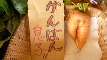 今帰仁城ふれあい手作り市と体験双子堂 明日はわにでこ