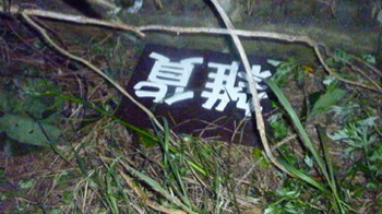 まめェコツァーでサガリ花とカニとホタルの幼虫とマメに出会え