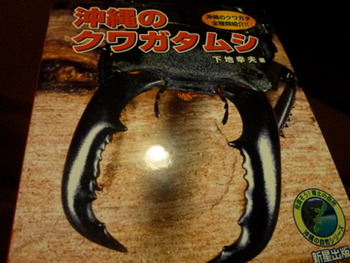 マメクワガタって知っていますか?