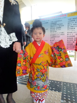 今帰仁城跡 さくら祭り ファイナル2日間漂着しました!