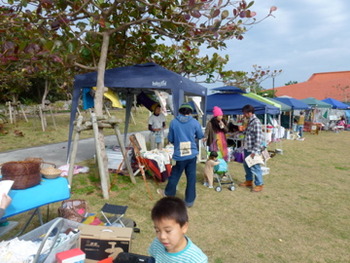 今帰仁城跡 さくら祭り ファイナル2日間漂着しました!