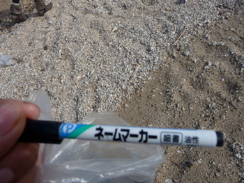 発見と仕入れの旅 南部編 色々な物に出会えました!うれしい