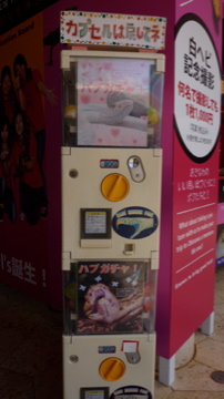 おきなわワールド1日中遊べる(前編)またまた無料みたいです