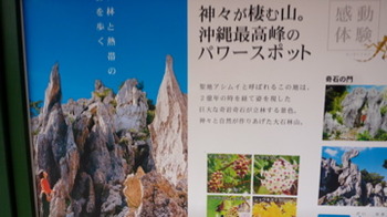 おきなわワールド1日中遊べる(前編)またまた無料みたいです