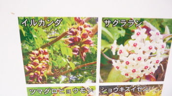おきなわワールド1日中遊べる(前編)またまた無料みたいです