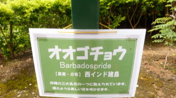 おきなわワールド1日中遊べる(前編)またまた無料みたいです