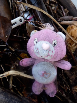かわいい漂流物が沢山流れていましたが、ぬいぐるみはちょっと。