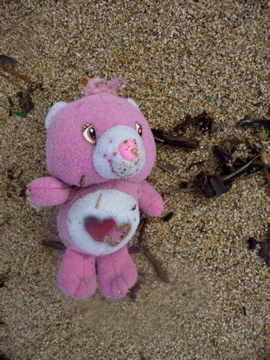 かわいい漂流物が沢山流れていましたが、ぬいぐるみはちょっと。