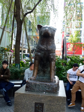 東京21世紀 画像 と新しい漂着地のお知らせ