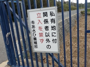不法侵入者 那覇に現れる!フライデーバザール明日開催!