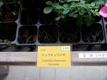 自動販売機の誤作動は電話で何とかなるものなんですね。
