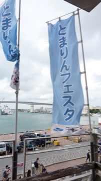 とまりんでカイナのイベントに漂着しました。3710