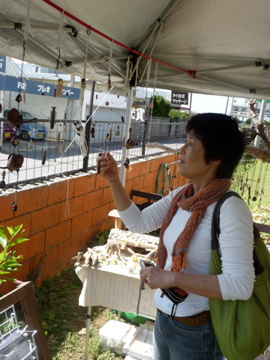 春なので家庭訪問的なイベントしてみました!