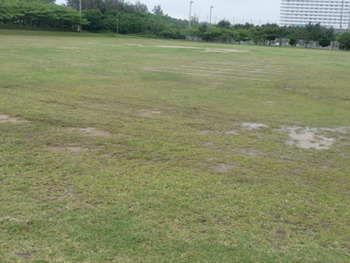どうしても朝でかけてみたくて。シーサーのいる公園へ2人で。