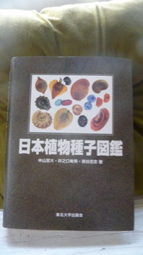teachーoneにもなれるといいな