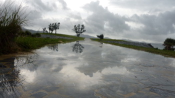 まんまる◎雨〜くもり〜晴天 綺麗な1にち