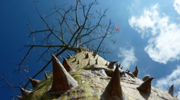 △△△△△△△△△△△△△△△△△△△△△△△△△とげ△△