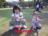 2011年11月17日