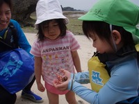 沖縄の自然体験・エコツアー！海辺のピクニックツアー