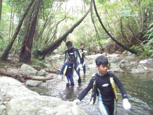 沖縄の自然体験・エコツアー：Ｙさんと滝への沢登りツアー